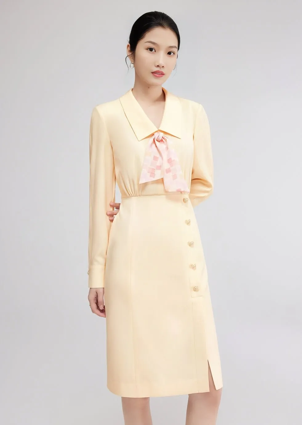 FRENCH DIANA SHIRT DRESS