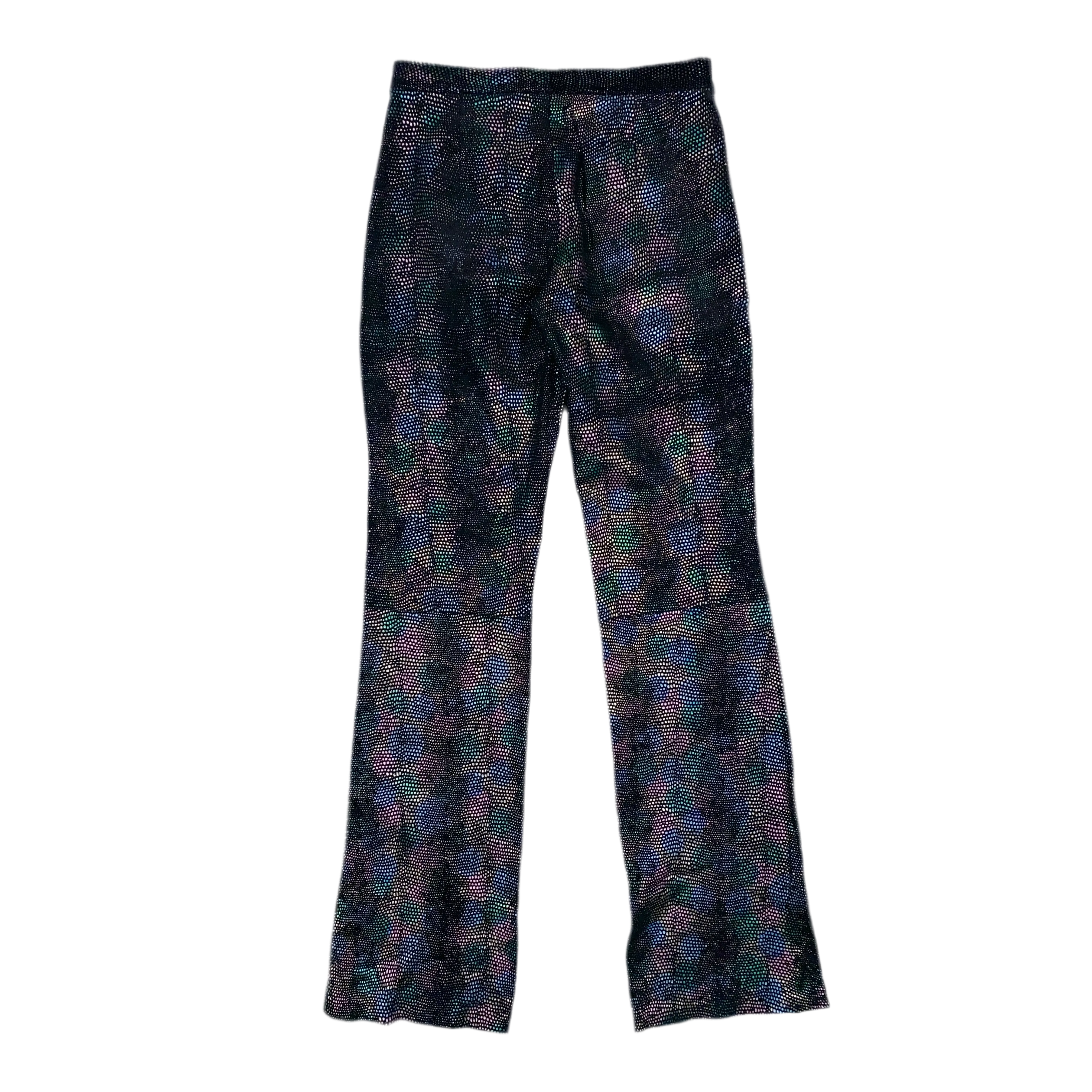 Iridescent Leather Pants (M)